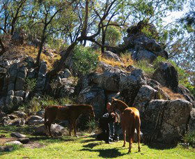  Sunshine Coast Tourism