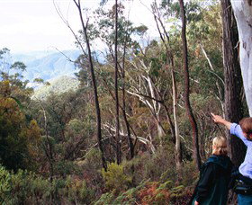 Hume And Hovell Walking Track - Holiday Sunshine Coast 5