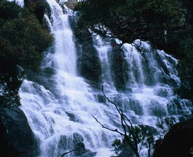 Hume And Hovell Walking Track - Holiday Sunshine Coast 4