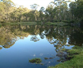 Hume And Hovell Walking Track - Holiday Sunshine Coast 6