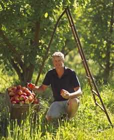 Mock Red Hill - Holiday Sunshine Coast 1