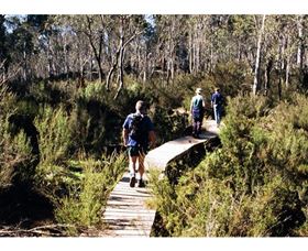 Hume And Hovell Walking Track - Henry Angel Trackhead - Holiday Sunshine Coast 0