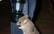 Moonlit Sanctuary Wildlife Conservation Park - thumb 1