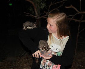 Moonlit Sanctuary Wildlife Conservation Park - Sunshine Coast Tourism 6