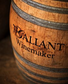 T'Gallant Winemakers - Holiday Sunshine Coast 0