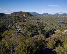 Dunns Swamp - Sunshine Coast Tourism 0