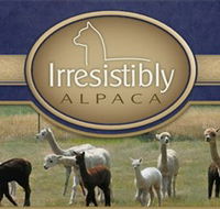 Marchmont Park Alpacas - Sunshine Coast Tourism