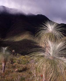 Bluff Knoll, Stirling Range National Park - Sunshine Coast Tourism 3