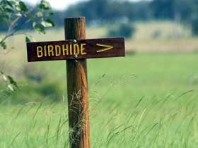 Wilkesdale ACT Sunshine Coast Tourism