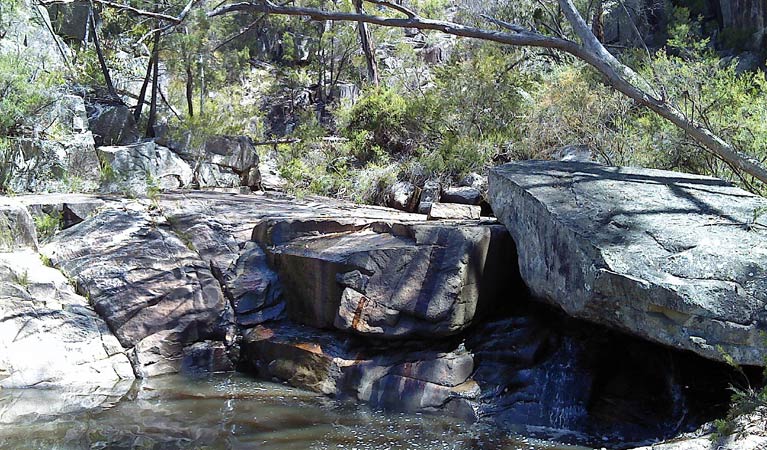 Emmaville NSW Sunshine Coast Tourism