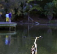 Birdwatching in the South Burnett