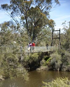 Avon Park - Sunshine Coast Tourism 0
