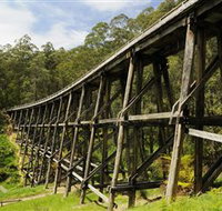 Noojee Trestle Bridge - Holiday Sunshine Coast