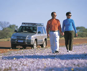 Canna Reserve - Sunshine Coast Tourism 1