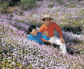 Canna Reserve - Sunshine Coast Tourism 3