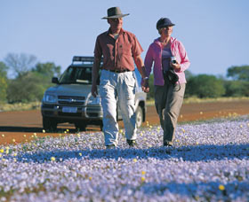 Canna Reserve - Sunshine Coast Tourism 2