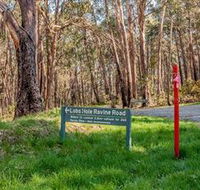 Lobs Hole Ravine 4WD Trail - Sunshine Coast Tourism