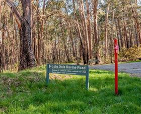 Lobs Hole Ravine 4WD Trail - Holiday Sunshine Coast 0