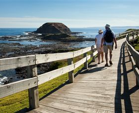 Phillip Island Nature Parks - Holiday Sunshine Coast 3