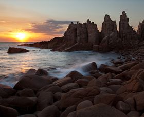 Phillip Island Nature Parks - Holiday Sunshine Coast 6