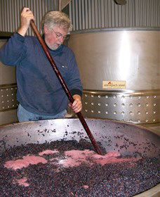 Mundoonen Winery - Sunshine Coast Tourism 0