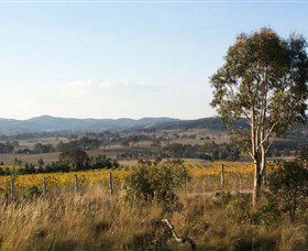 Yarrh Wines - Sunshine Coast Tourism 0