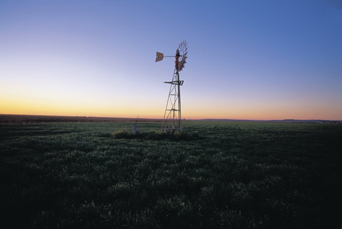 Lions Park Hodgsonvale - Holiday Sunshine Coast 0