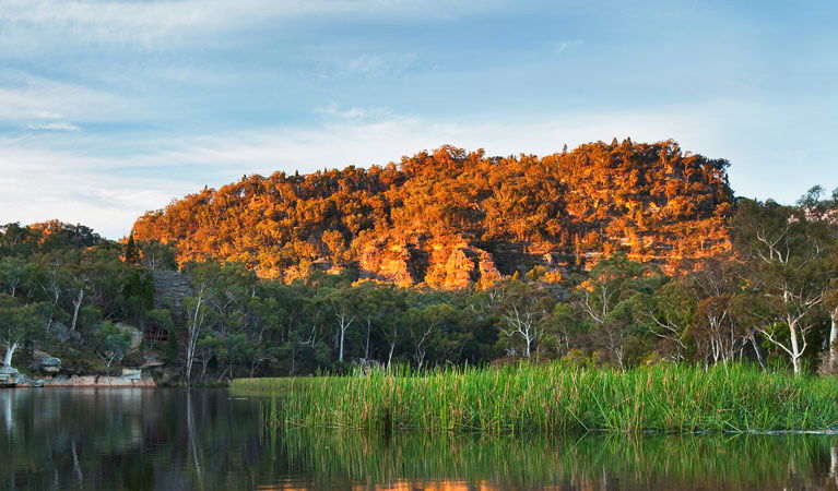 Wirraba NSW Sunshine Coast Tourism