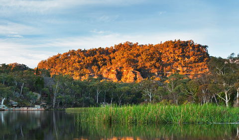 Wollemi National Park - Sunshine Coast Tourism 0