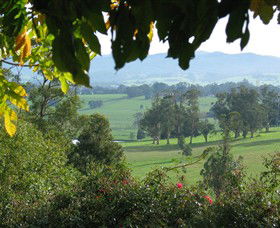 Brandy Creek Wines & View Cafe - Holiday Sunshine Coast 5