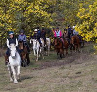 Burnelee Excursions on Horseback - Sunshine Coast Tourism