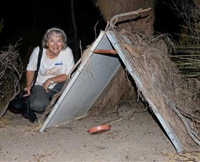 Barna Mia Native Animal Sanctuary - Sunshine Coast Tourism 3