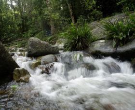Washpool National Park - Sunshine Coast Tourism 0