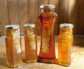 Odgers And McClelland Exchange Stores - Sunshine Coast Tourism 1