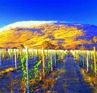 Surveyors Hill Winery - Sunshine Coast Tourism