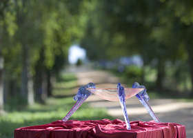 Lillico Glass Studio - Sunshine Coast Tourism 0