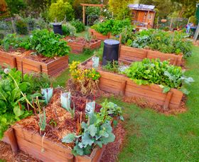 Ungulla Country Garden - Holiday Sunshine Coast 2