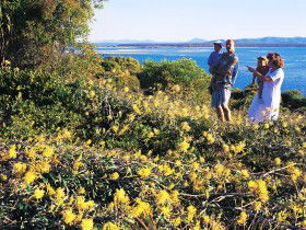 Joseph Banks Conservation Park - Sunshine Coast Tourism 0