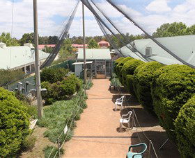 Canberra Walk In Aviary - Sunshine Coast Tourism 2