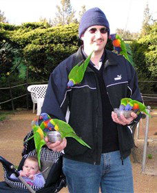 Canberra Walk In Aviary - Sunshine Coast Tourism 0