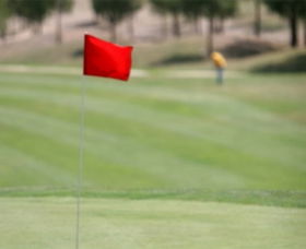 Gold Creek Country Club - Sunshine Coast Tourism 0