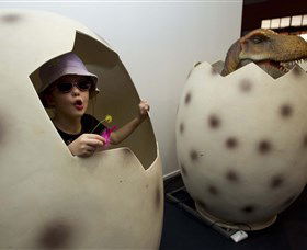 National Dinosaur Museum - Sunshine Coast Tourism 2