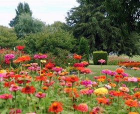 Alma Park - Holiday Sunshine Coast 0