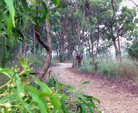 Mount Mutton Walking Trail - Sunshine Coast Tourism 0