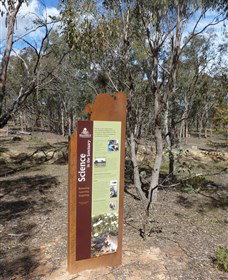 Mulligans Flat - Sunshine Coast Tourism 1