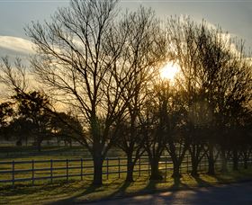 Inland Waters Holiday Parks Lake Glenbawn - Sunshine Coast Tourism 4