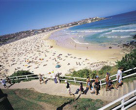 All Sydney Touring - Sunshine Coast Tourism 7