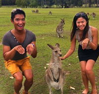 Runaway Tours - Sunshine Coast Tourism