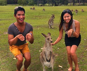 Runaway Tours - Sunshine Coast Tourism 0