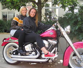 Wild Ride Harley And Motorcycle Tours - Sunshine Coast Tourism 0